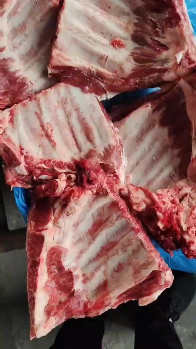 多肉小排厂家直销量大从优