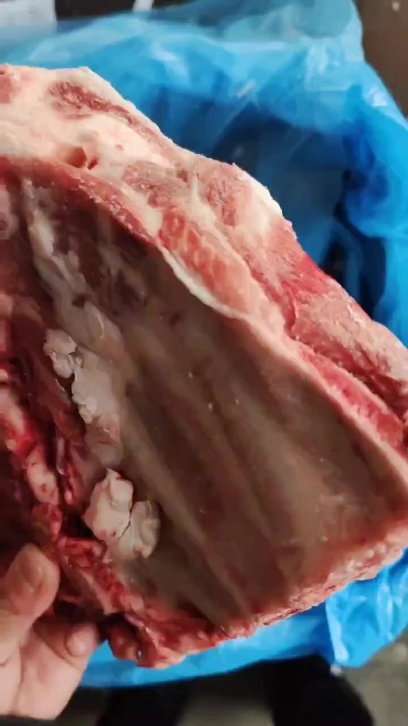 多肉小排厂家直销量大从优