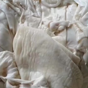 羊皮