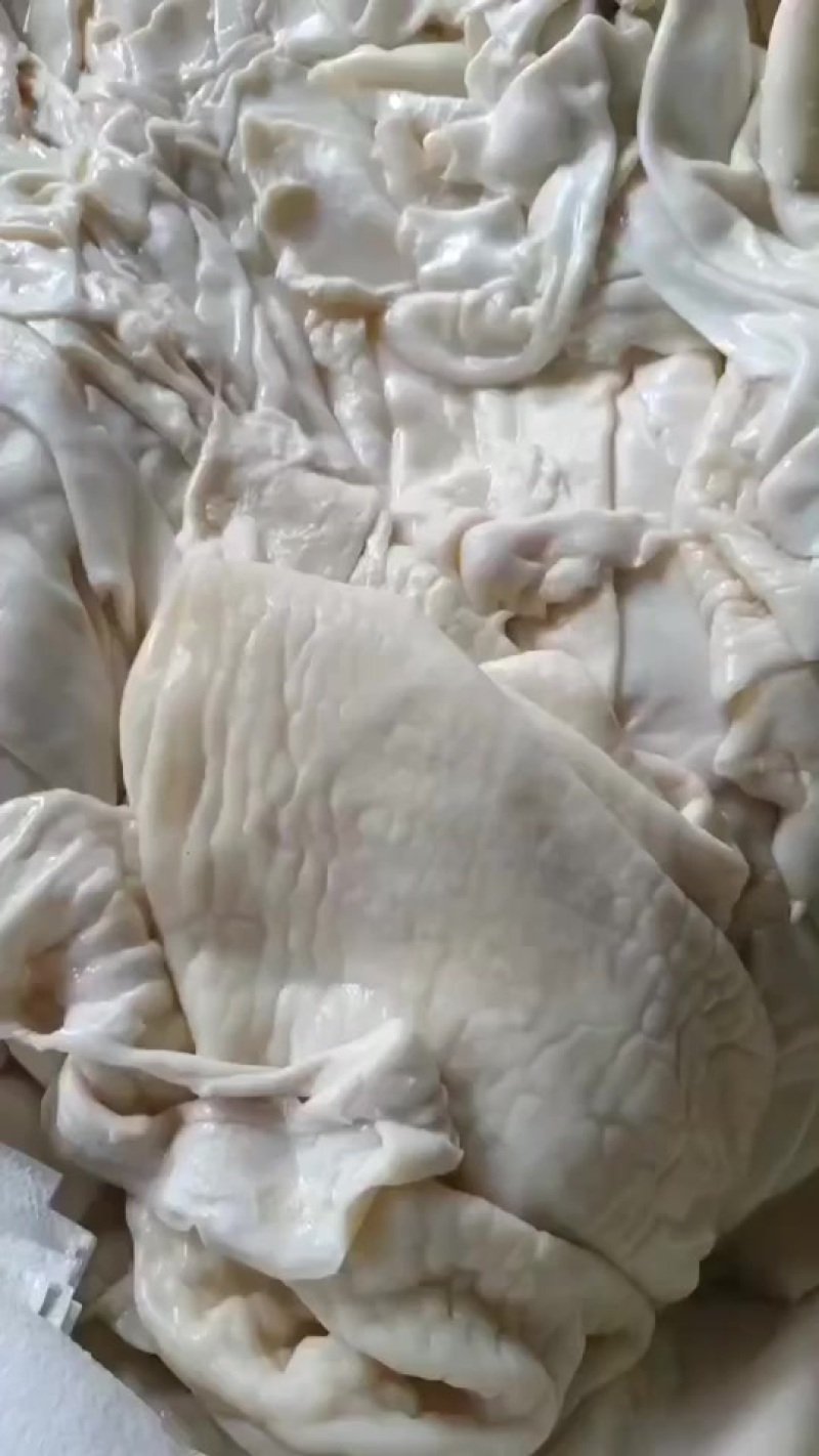 羊皮