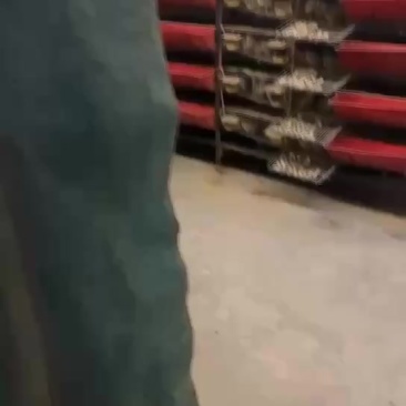 鹌鹑蛋长期供应