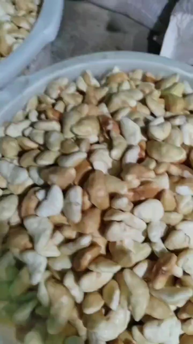 菱角
