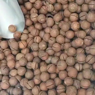 年前各大平台很火爆，干果类，专业一件代发，专业供应链