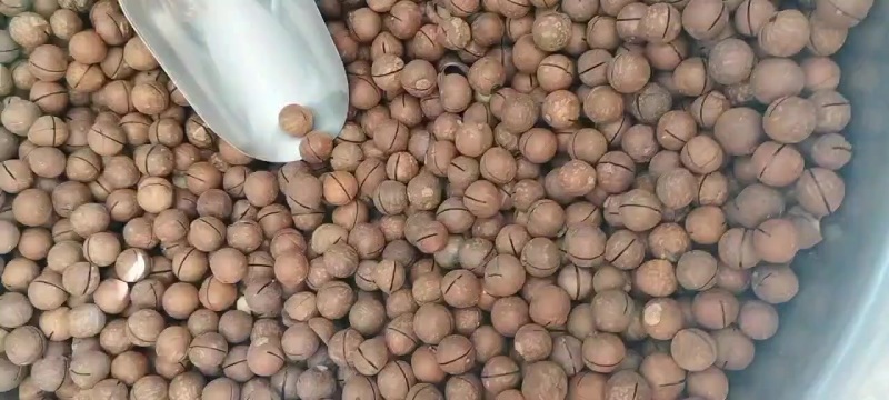 年前各大平台很火爆，干果类，专业一件代发，专业供应链
