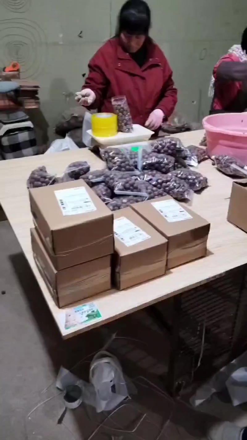 专业供应链，一件代发，对接各大平台，主播，运营团队，