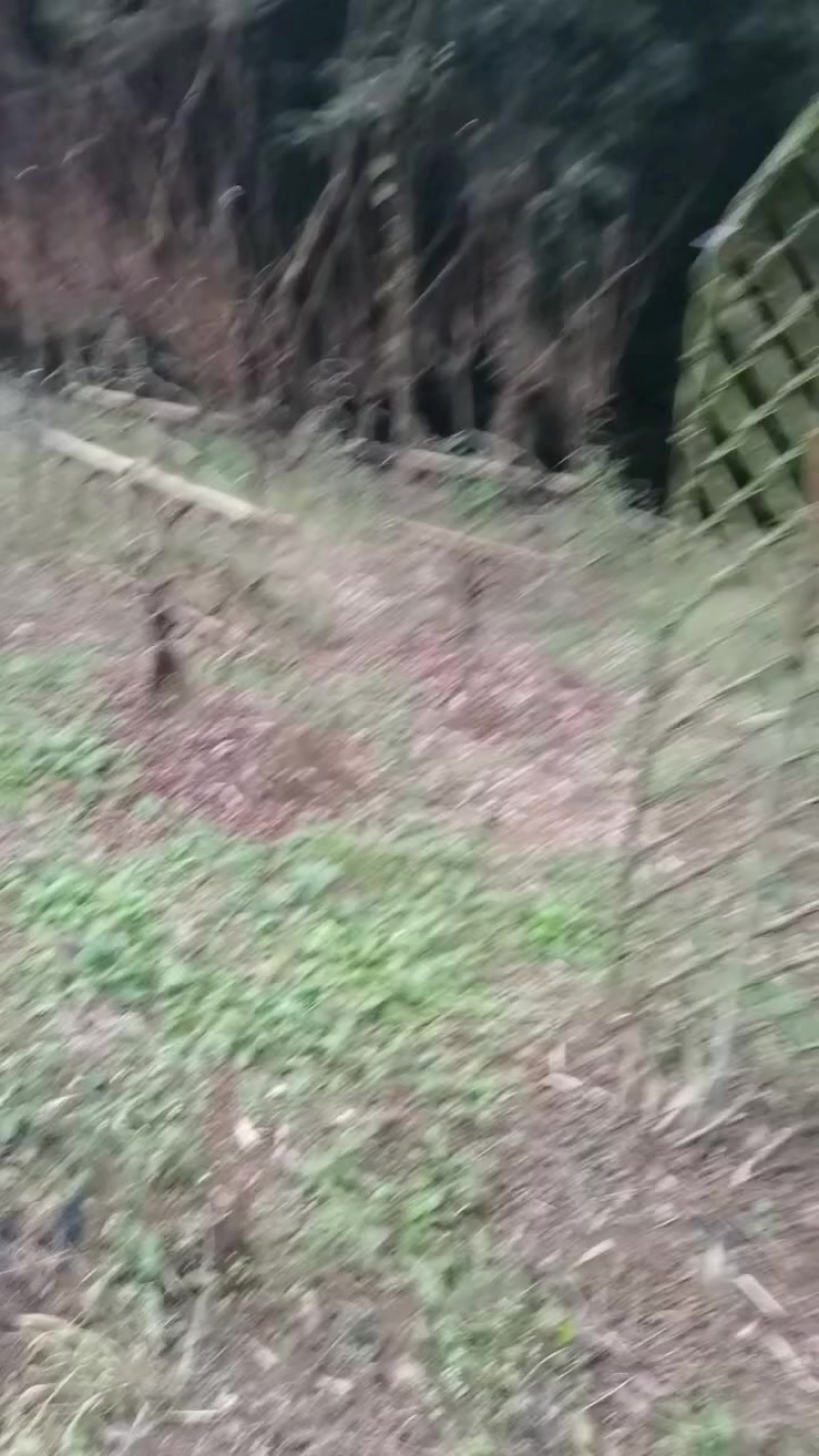 基地种植，上百件产品