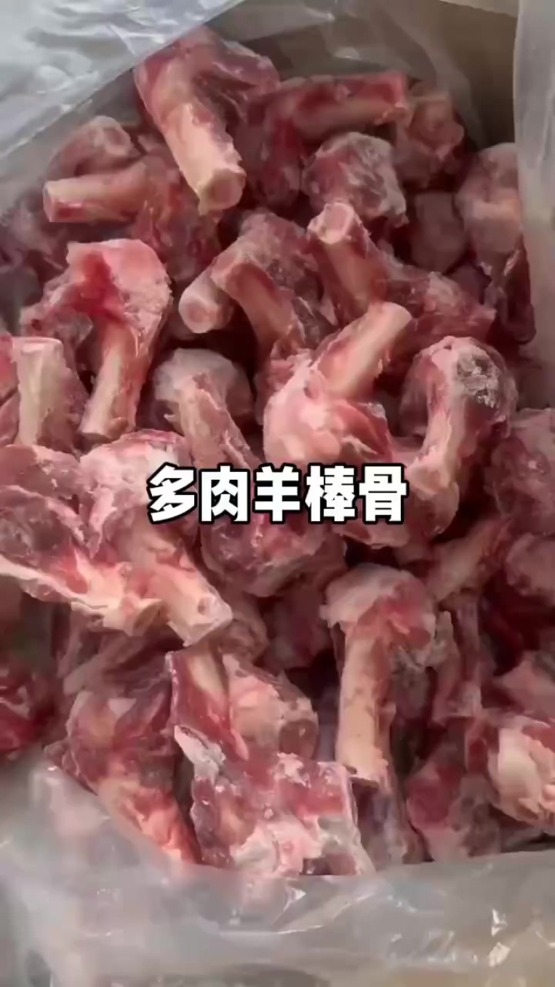 多肉羊棒骨
