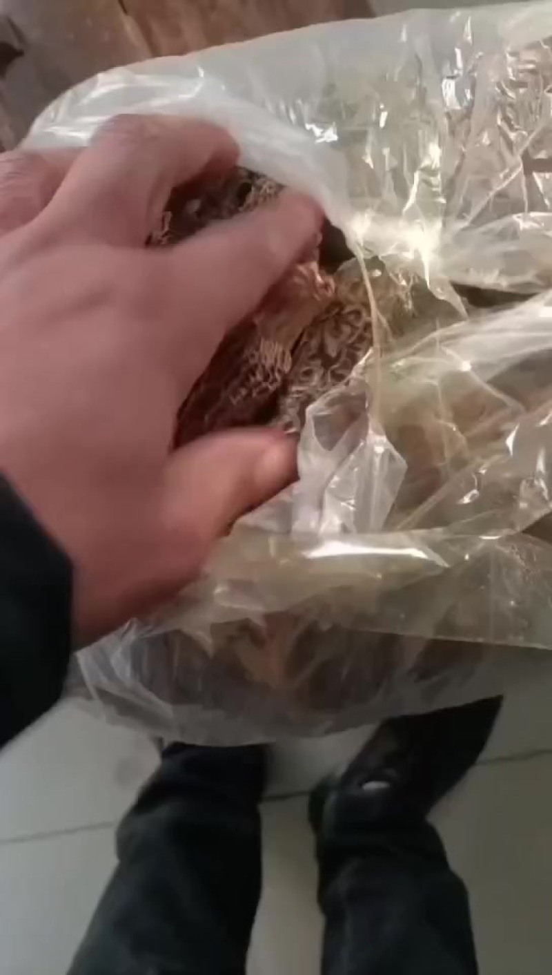 羊肚菌干货