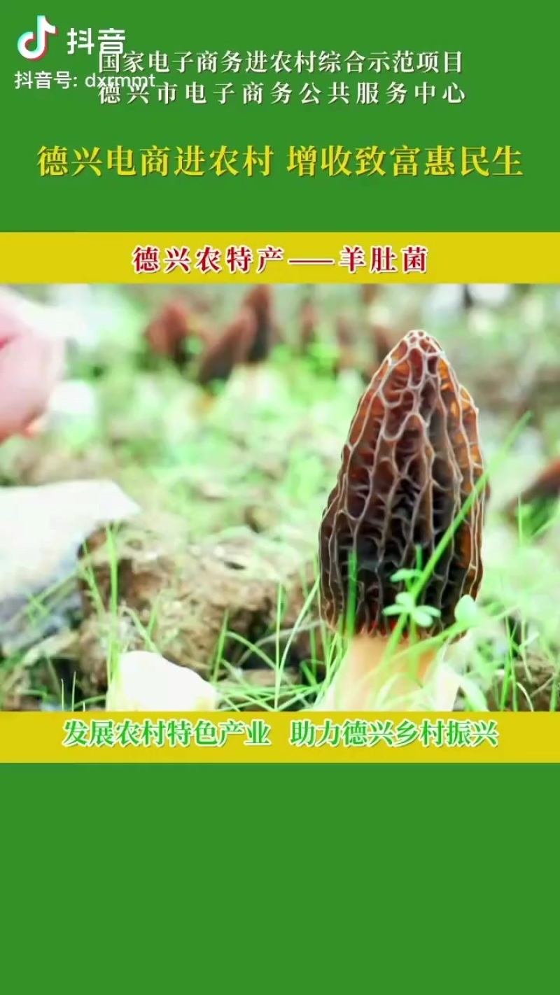 正宗原生态山茶油，常年有货，按需供应。