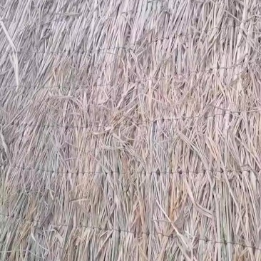 草帘草苫批发保暖稻草草苫子大棚草帘绿化草帘草苫子