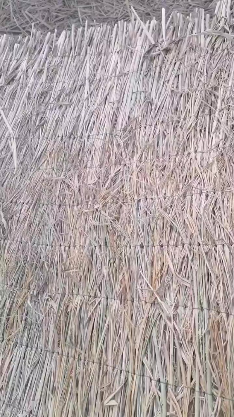草帘草苫批发保暖稻草草苫子大棚草帘绿化草帘草苫子