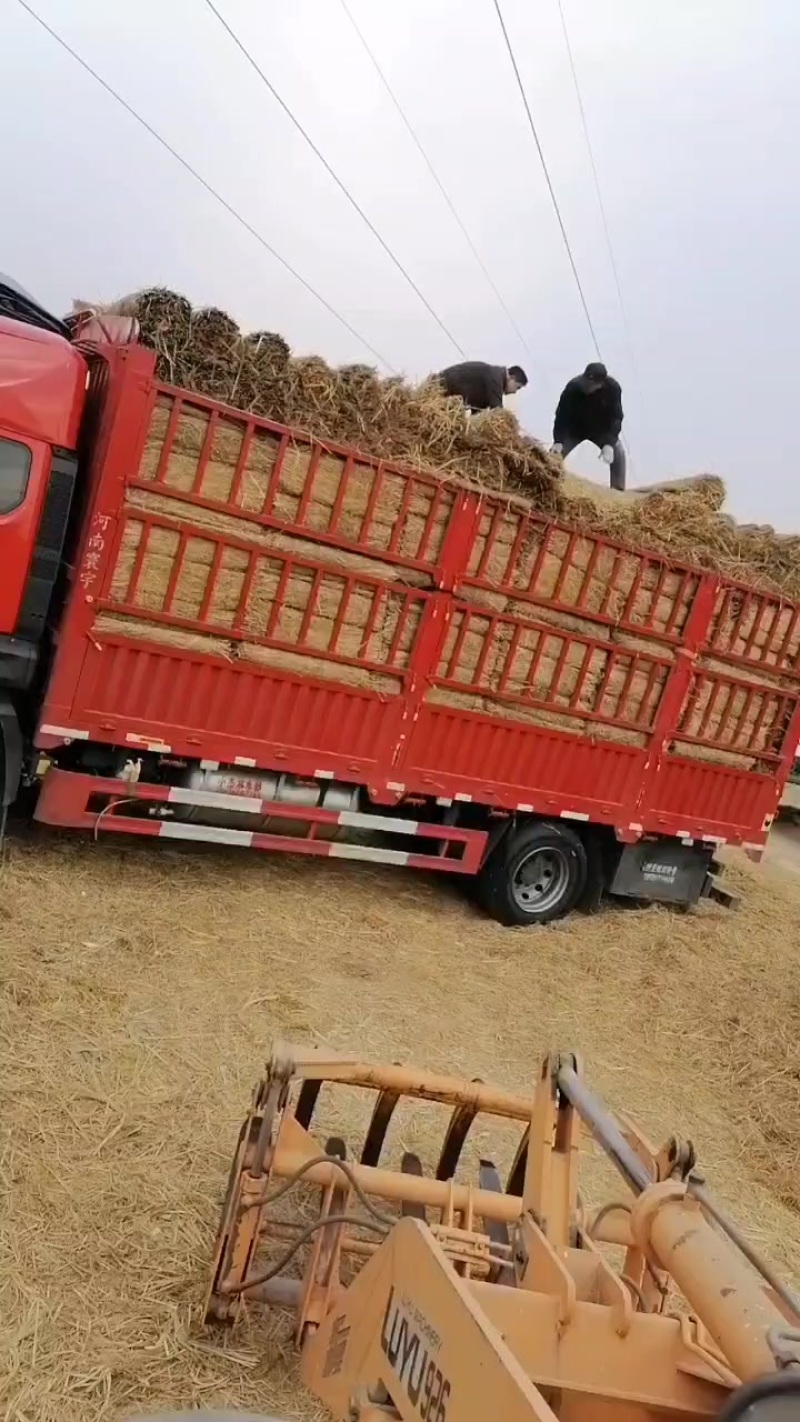 草帘草苫批发保暖稻草草苫子大棚草帘绿化草帘草苫子