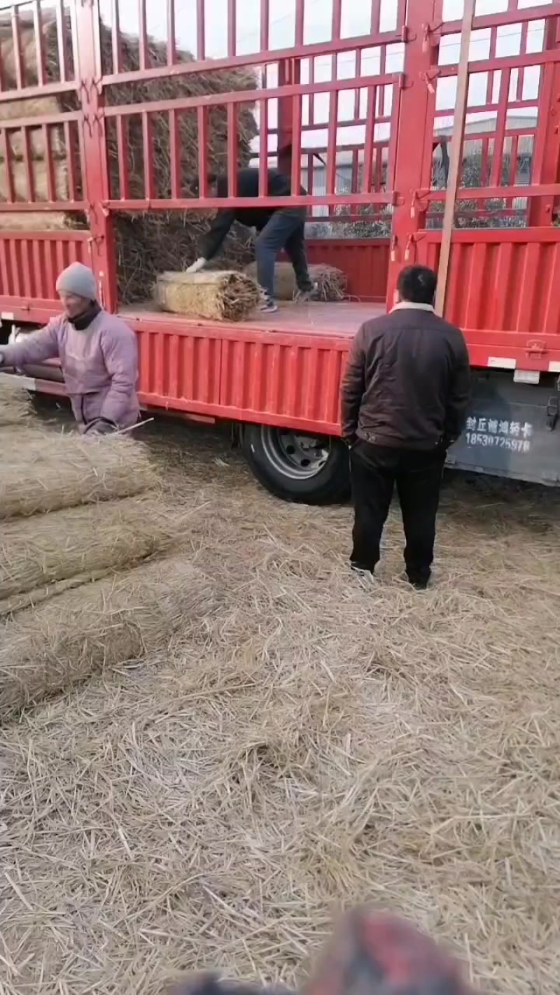 草帘草苫批发保暖稻草草苫子大棚草帘绿化草帘草苫子