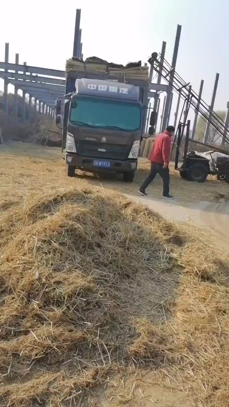 草帘草苫批发保暖稻草草苫子大棚草帘绿化草帘草苫子