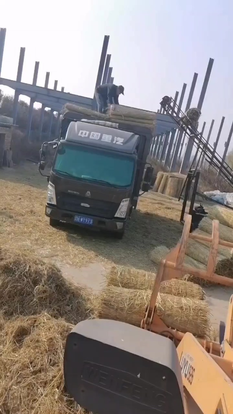 草帘草苫批发保暖稻草草苫子大棚草帘绿化草帘草苫子