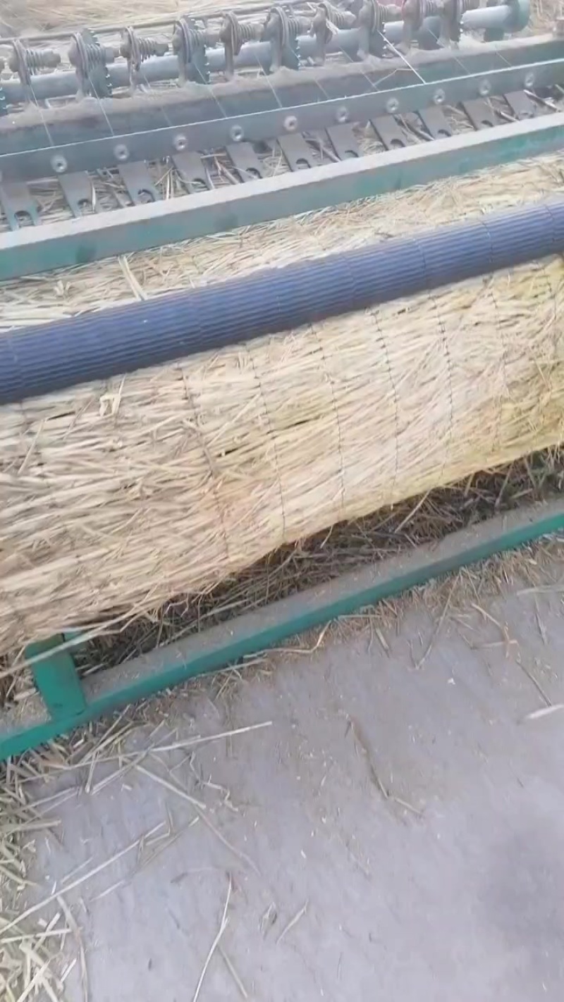 草帘草苫批发保暖稻草草苫子大棚草帘绿化草帘草苫子