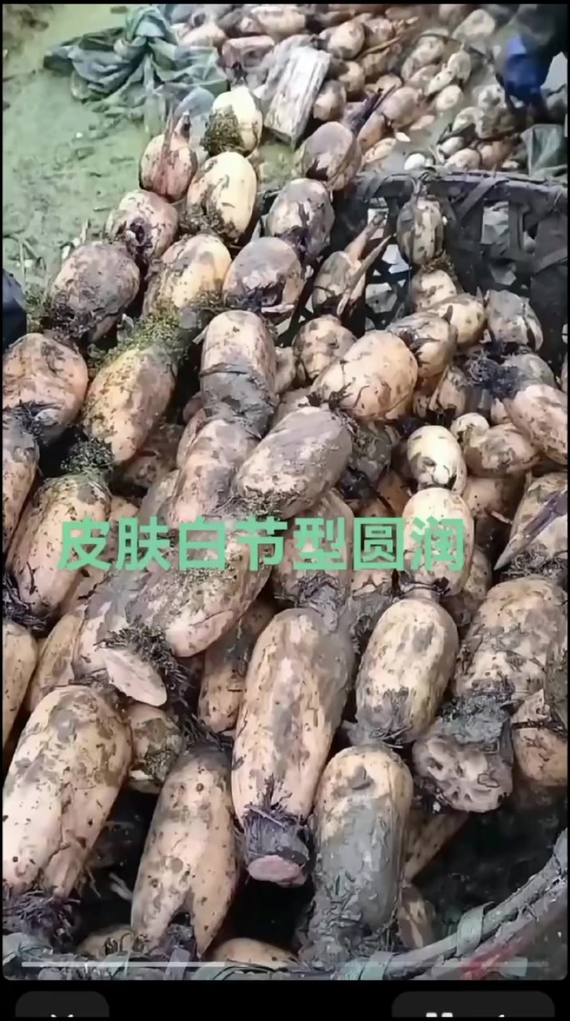 湖北武汉市蔡甸区