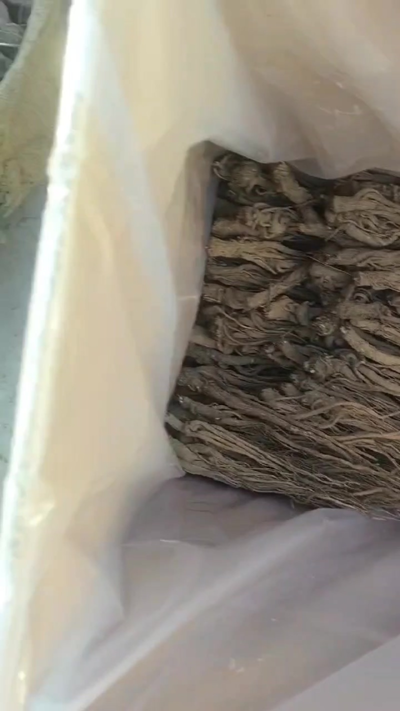 甘肃岷县当归新货全干个子无硫当归中货