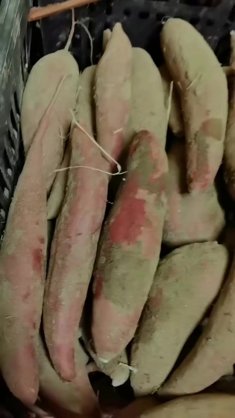 西瓜红通货