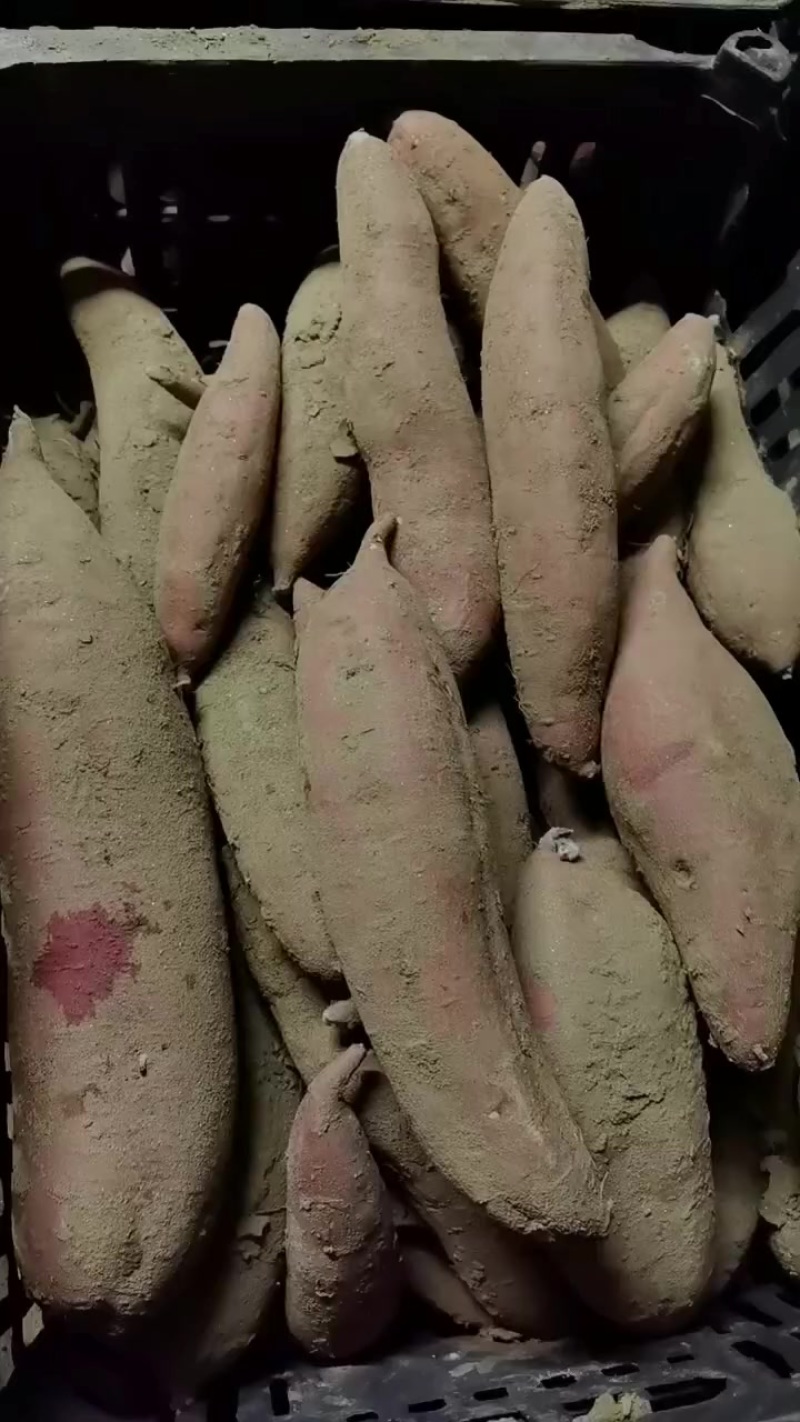 西瓜红通货