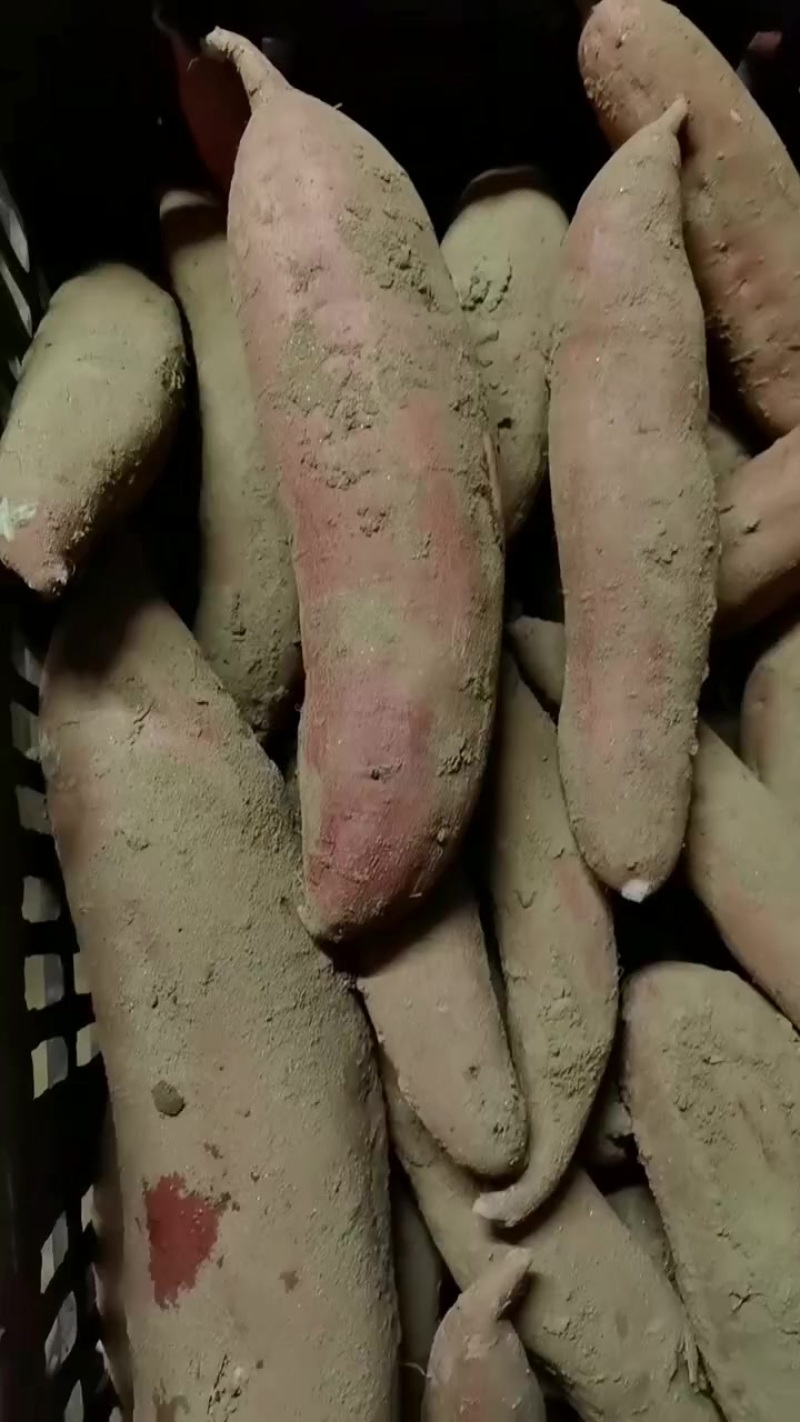 西瓜红通货