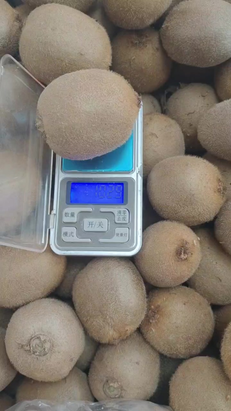 周至猕猴桃