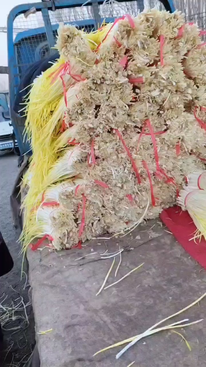 大掉价，棚头现割，质优价廉适合各大市场电商平台
