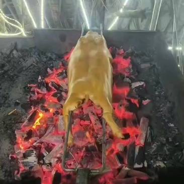 烧烤木炭，耐烧，不炸火