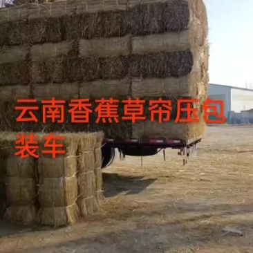 1-2宽草帘