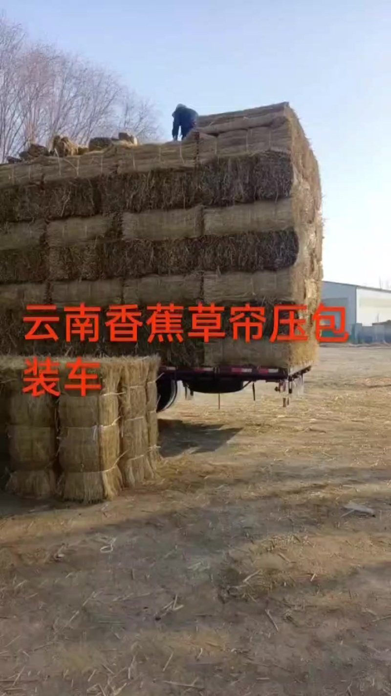 1-2宽草帘