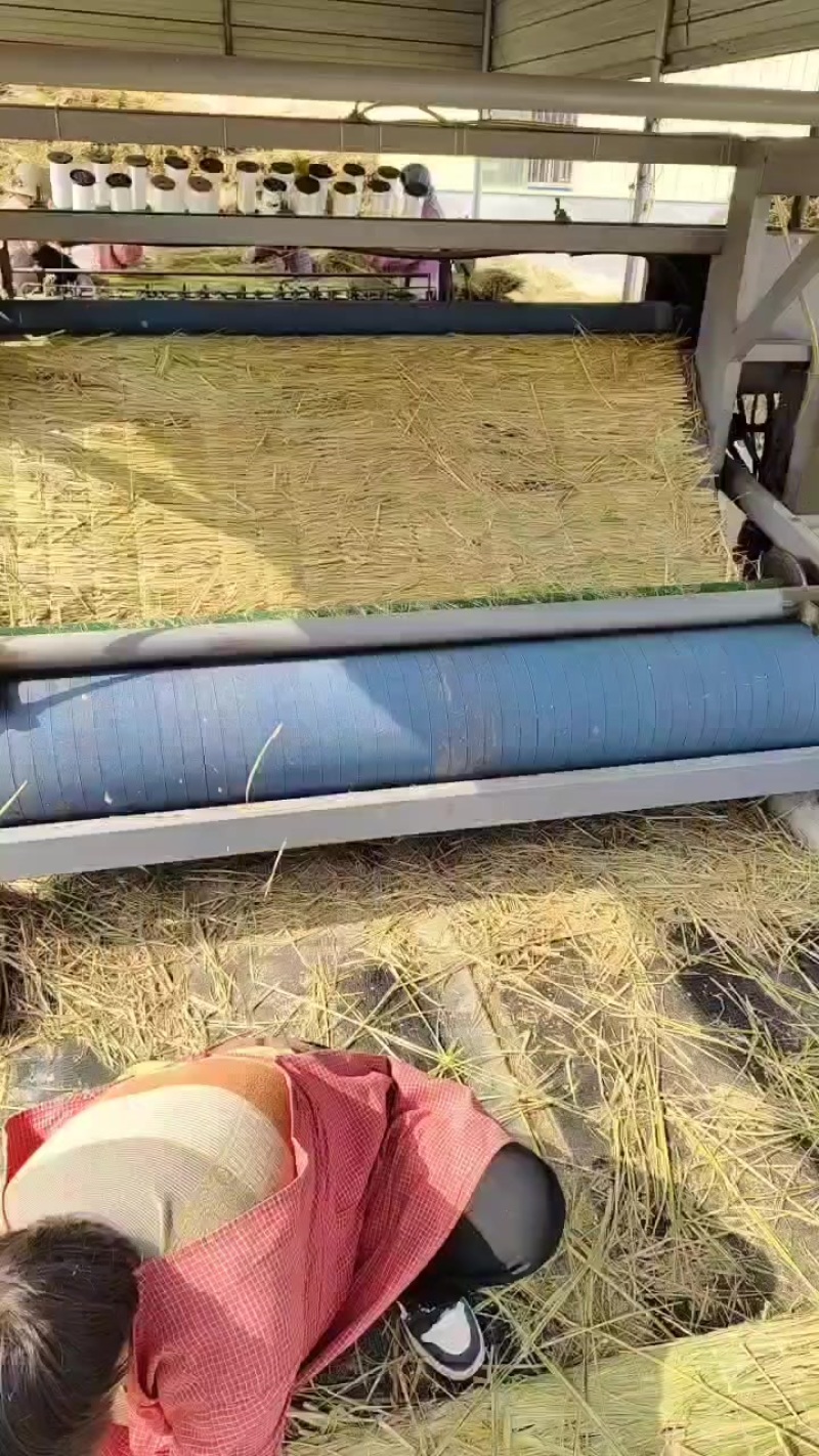 1-2宽草帘