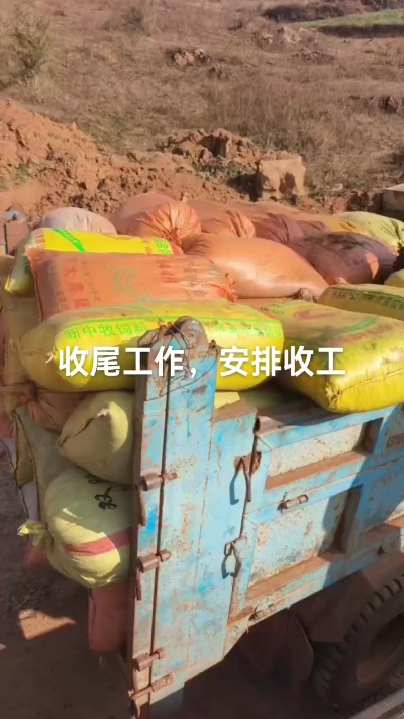 纯羊粪