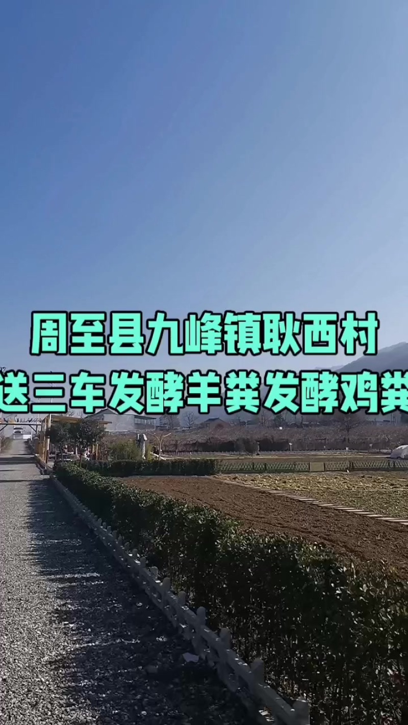 甘肃环县发酵羊粪
