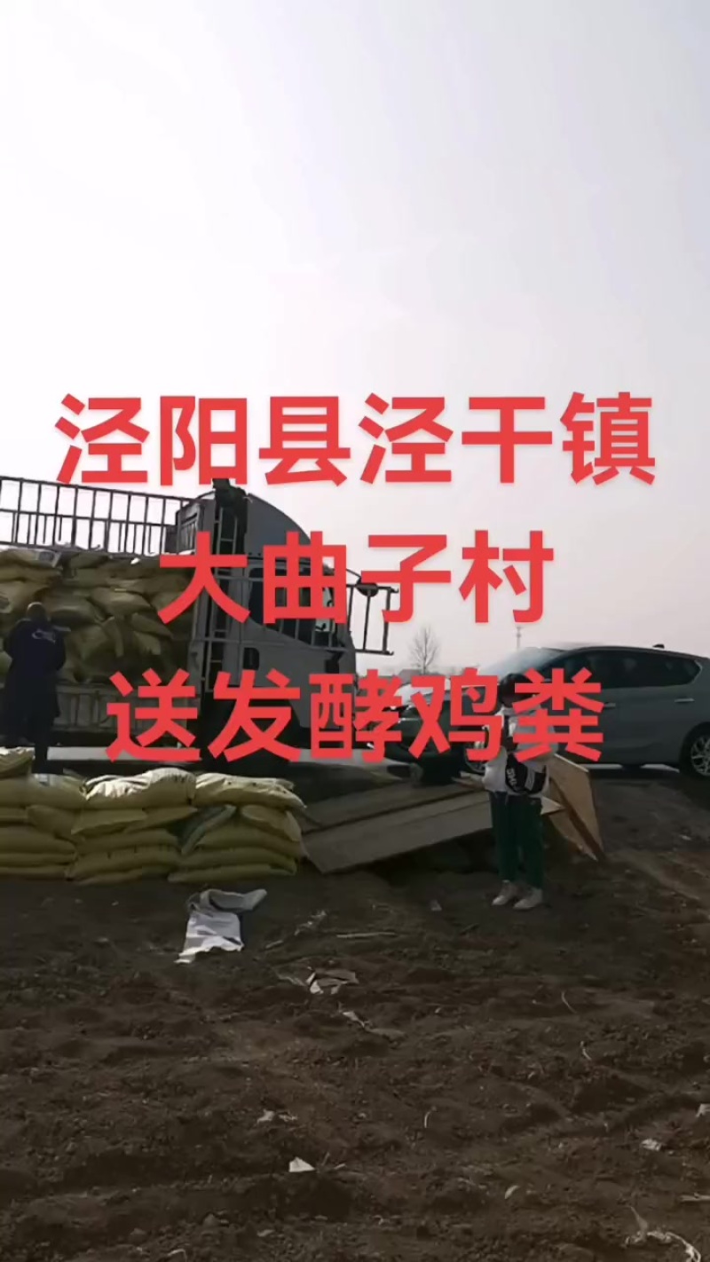 甘肃环县发酵羊粪