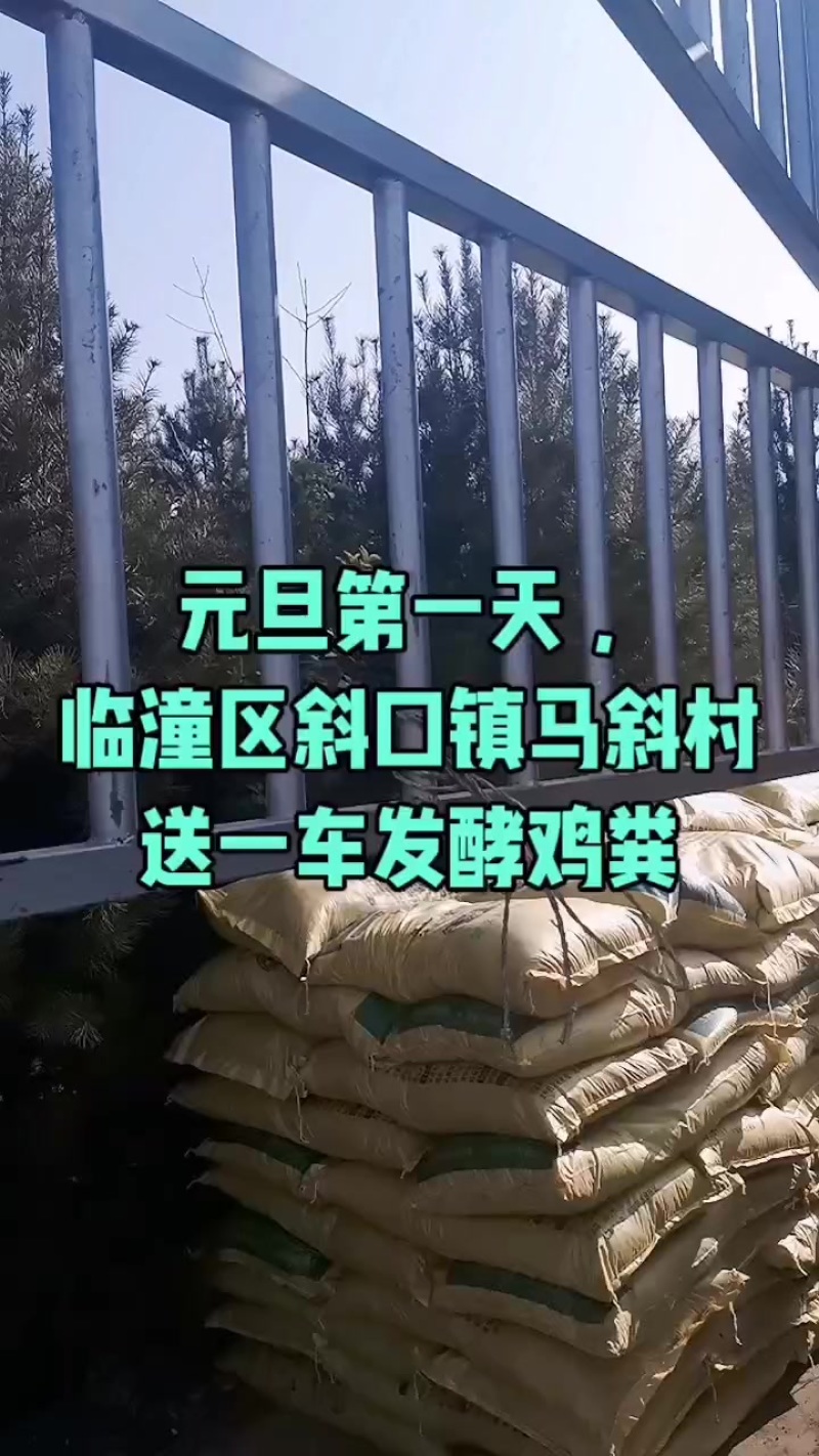 甘肃环县发酵羊粪