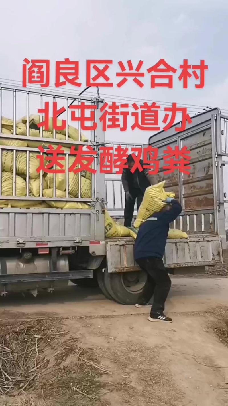 甘肃环县发酵羊粪