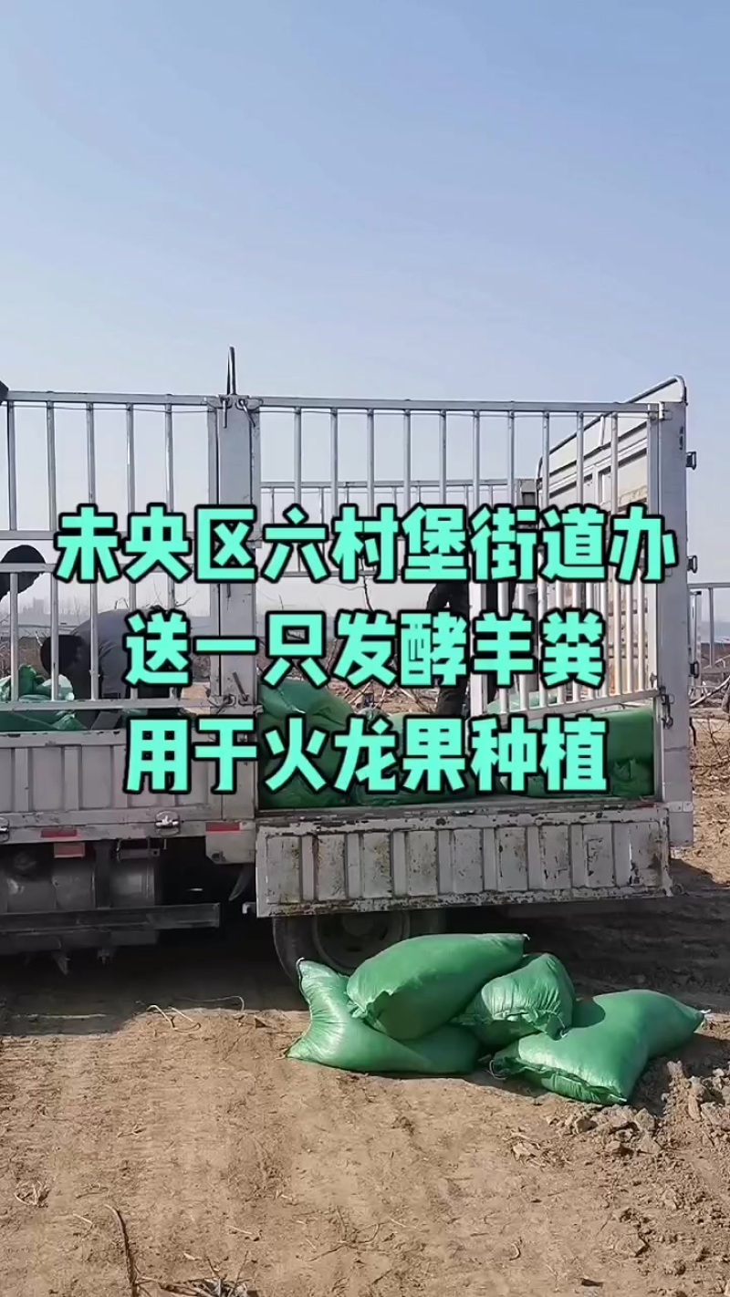 甘肃环县发酵羊粪