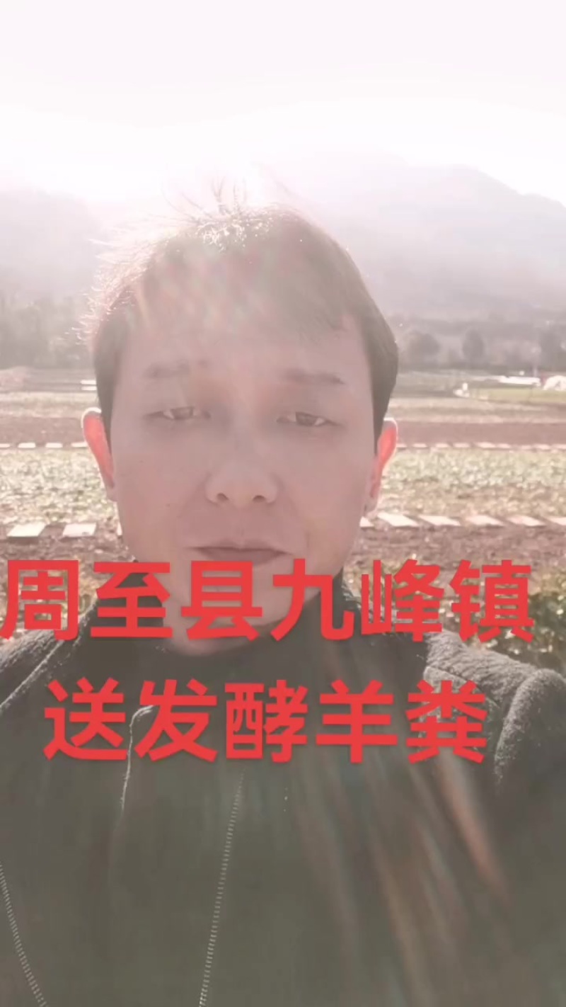 甘肃环县发酵羊粪