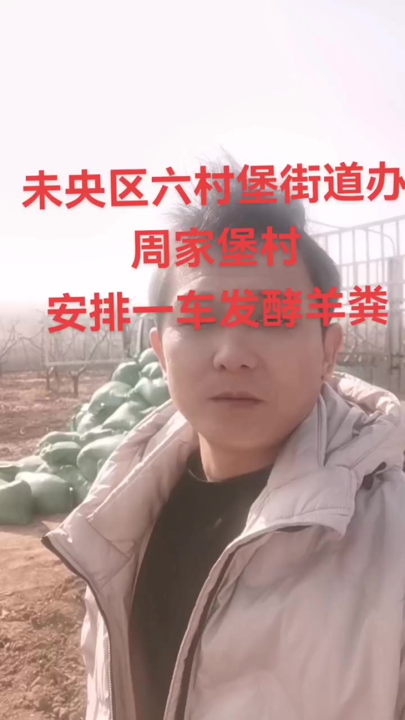 甘肃环县发酵羊粪
