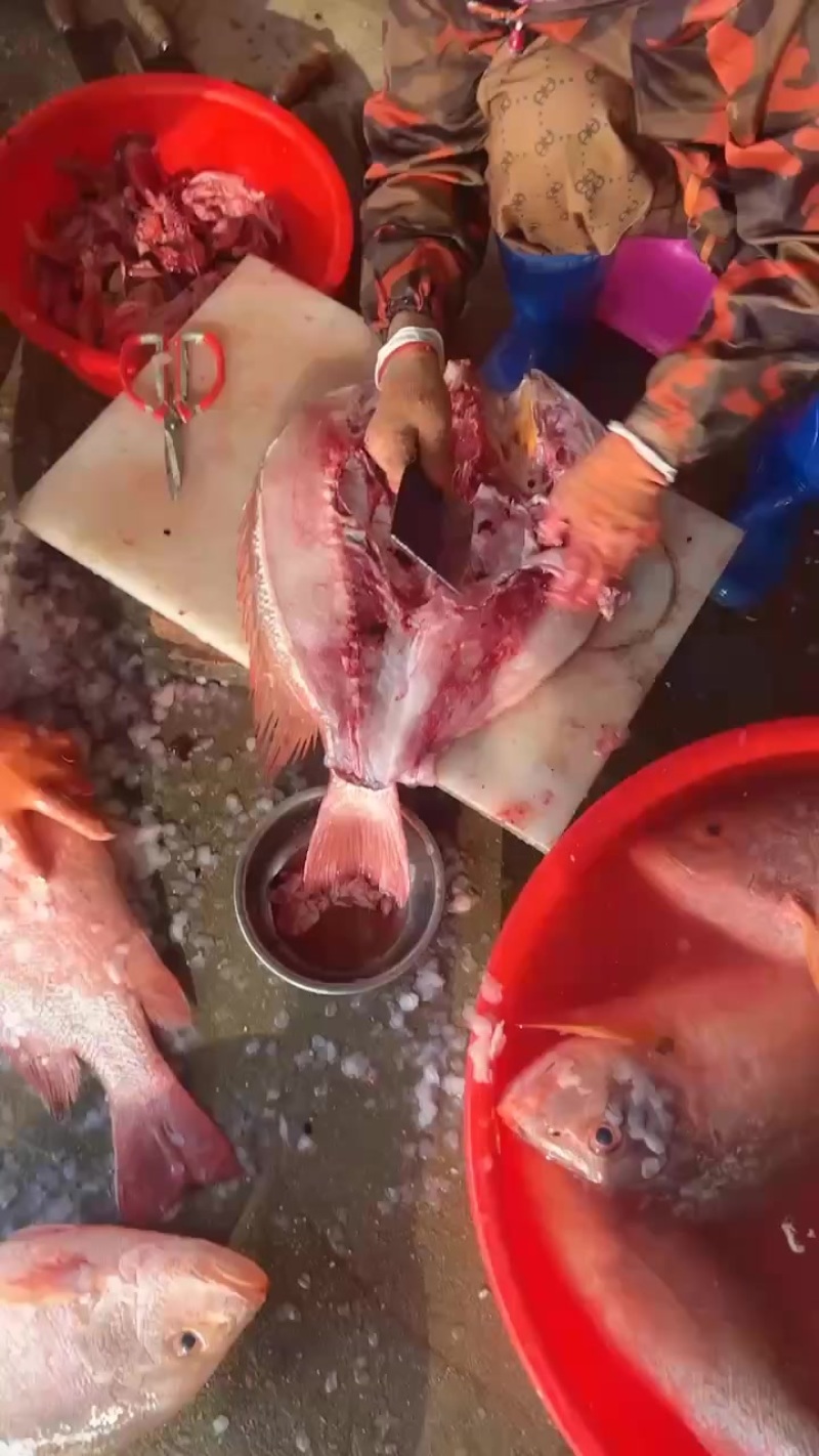 红鱼干，本码头特产