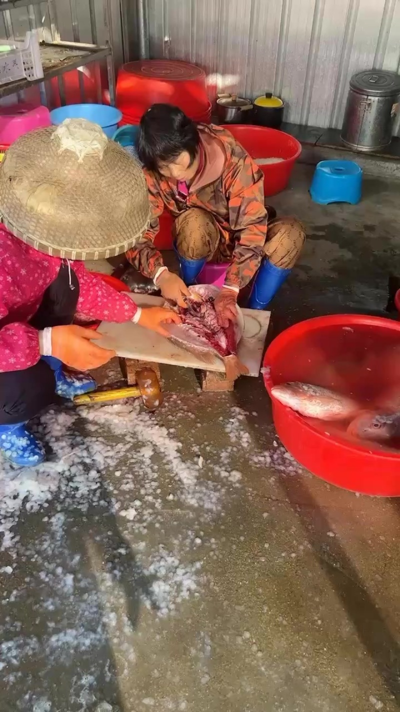 红鱼干，本码头特产