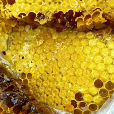 纯野生蜂蜜，年货，年货，不支持带样品过来面谈，，有意者私
