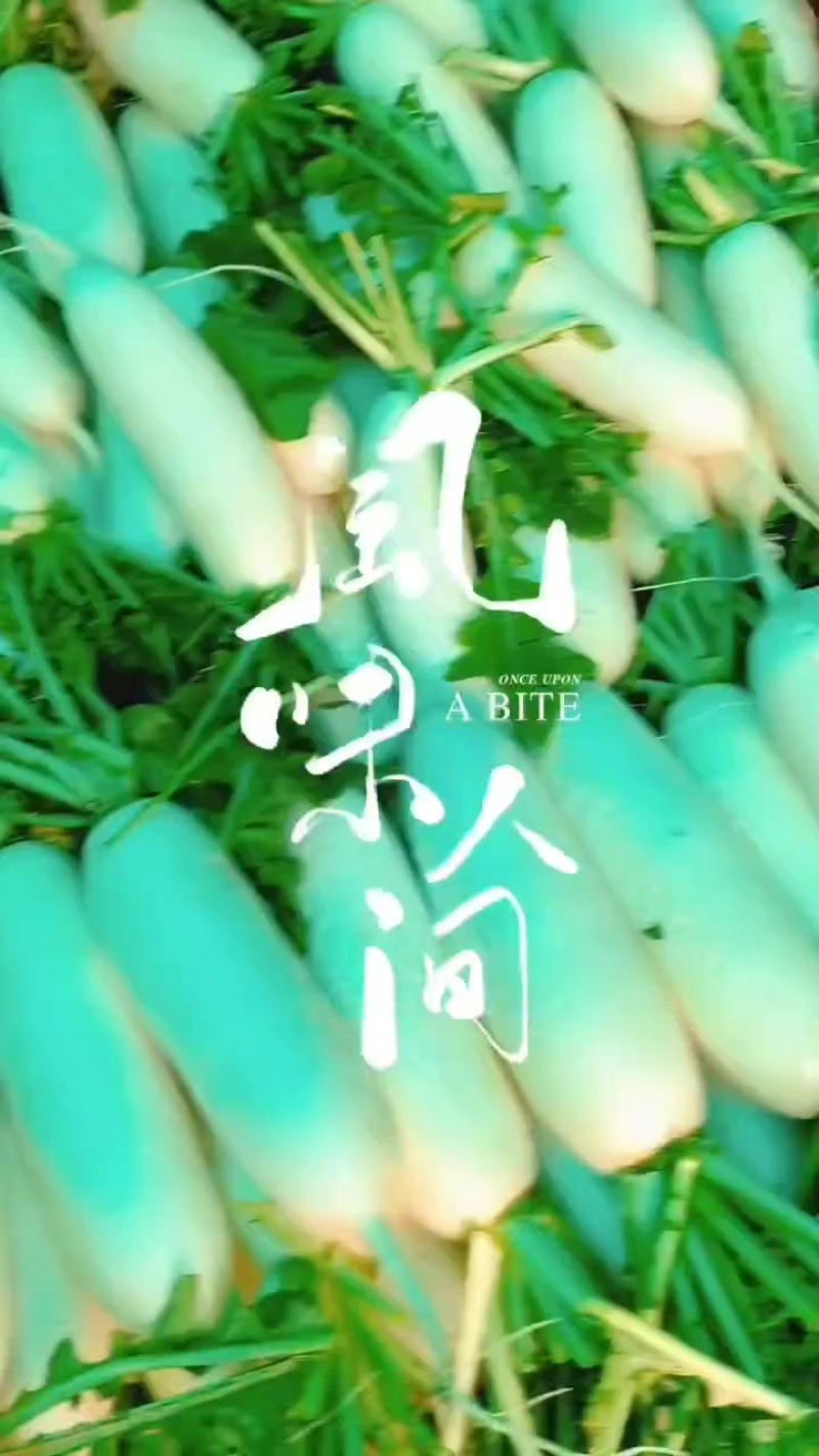 福建白萝卜