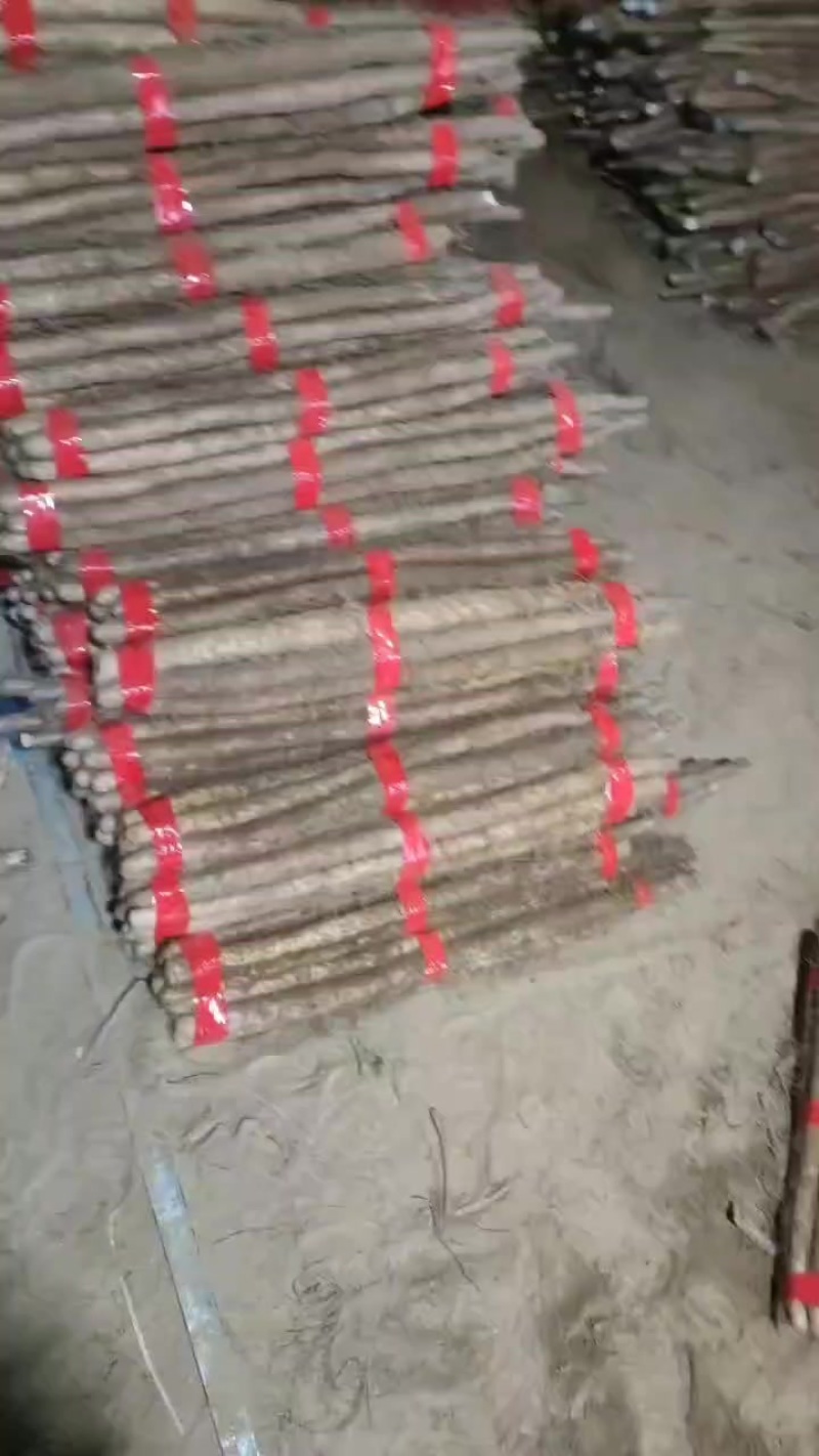 双棒白玉麻山药