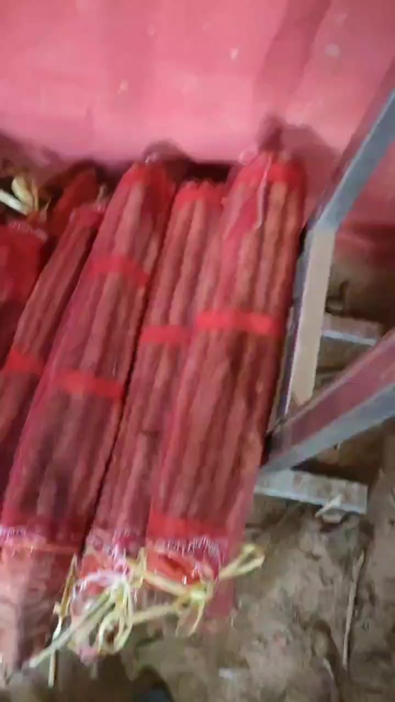 双棒白玉麻山药