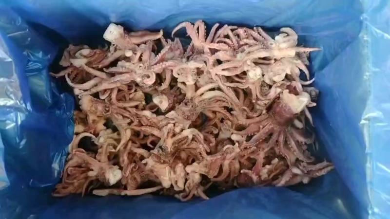 鱿鱼头