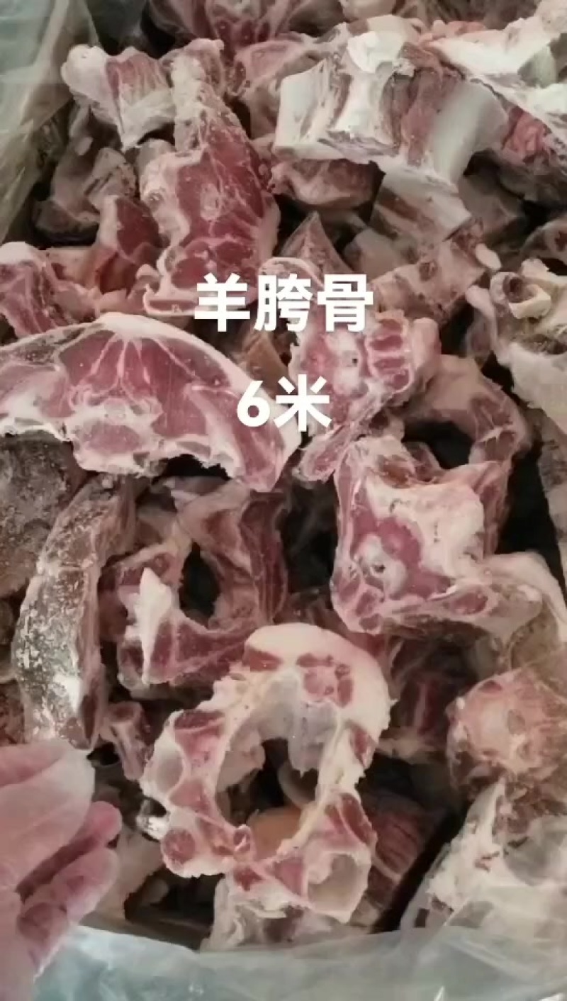 羊胯骨