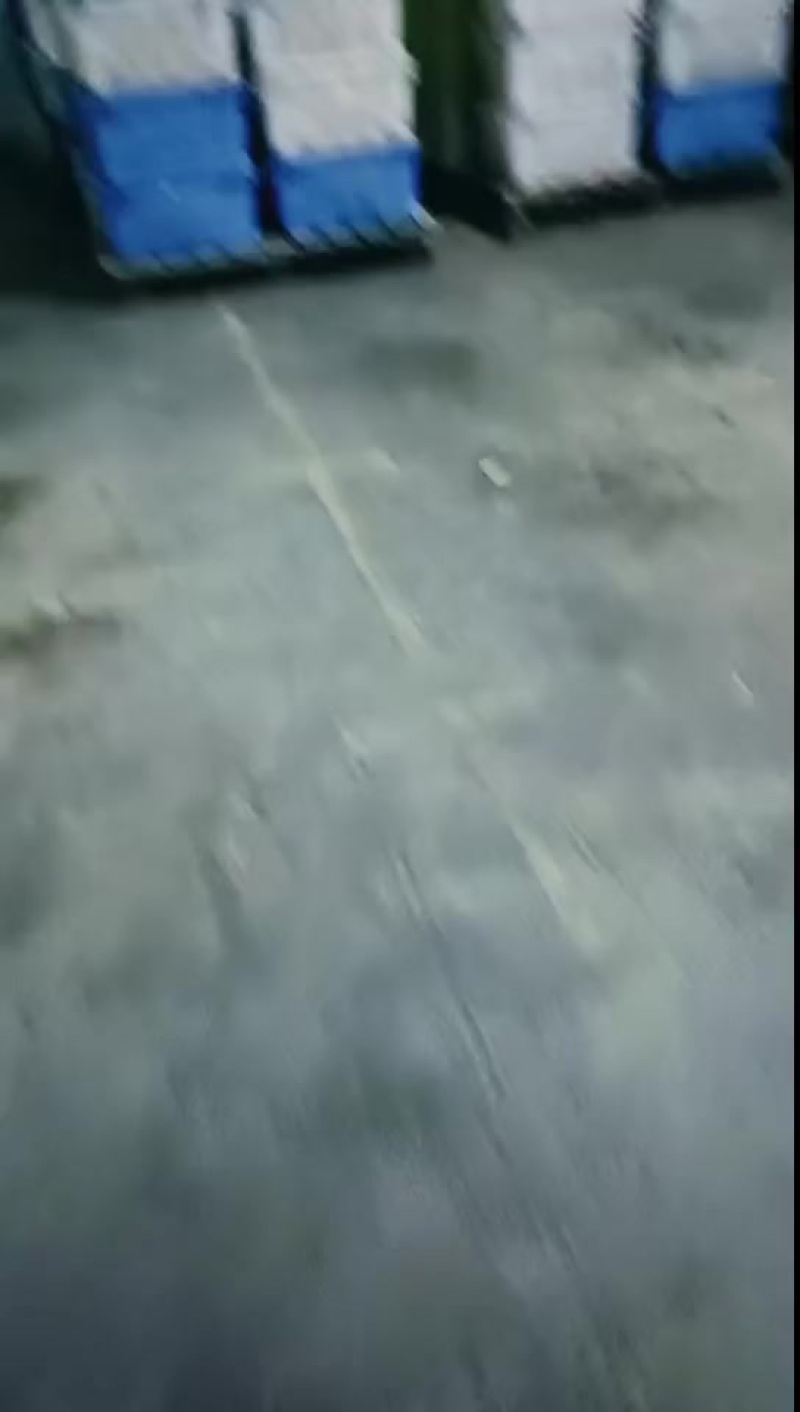 精品娃娃菜货源充足。