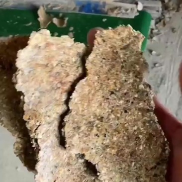 熟化全脂豆饼：蛋白18，脂肪5，适合猪牛羊，鸡鸭鹅