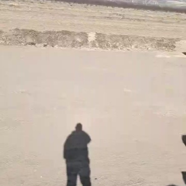 玉米秸秆